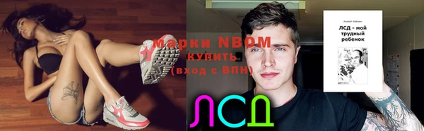 индика Михайловка