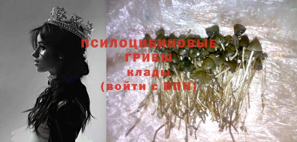 индика Михайловка