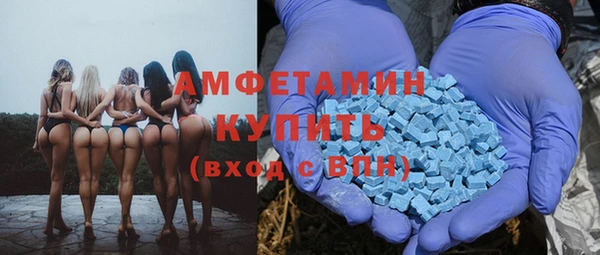индика Михайловка