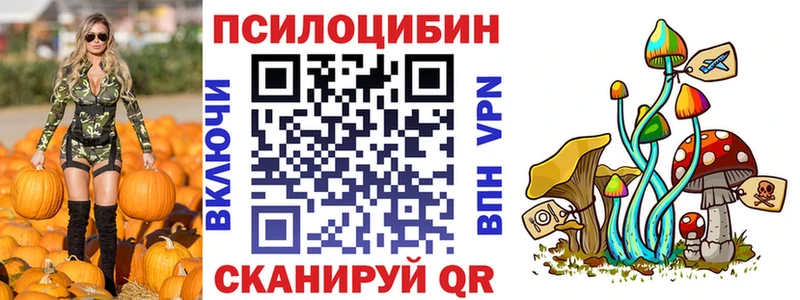 KRAKEN как зайти  Барыш  Псилоцибиновые грибы GOLDEN TEACHER 